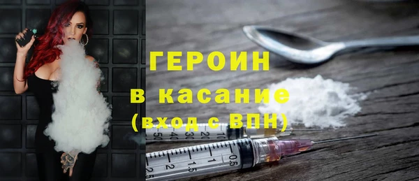 индика Каменка