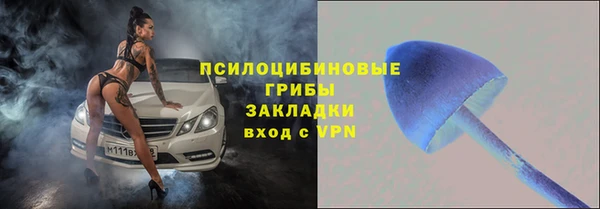 альфа пвп Горняк